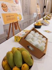 Mango-event-by-the-Indian-Embassy-in-Brussels