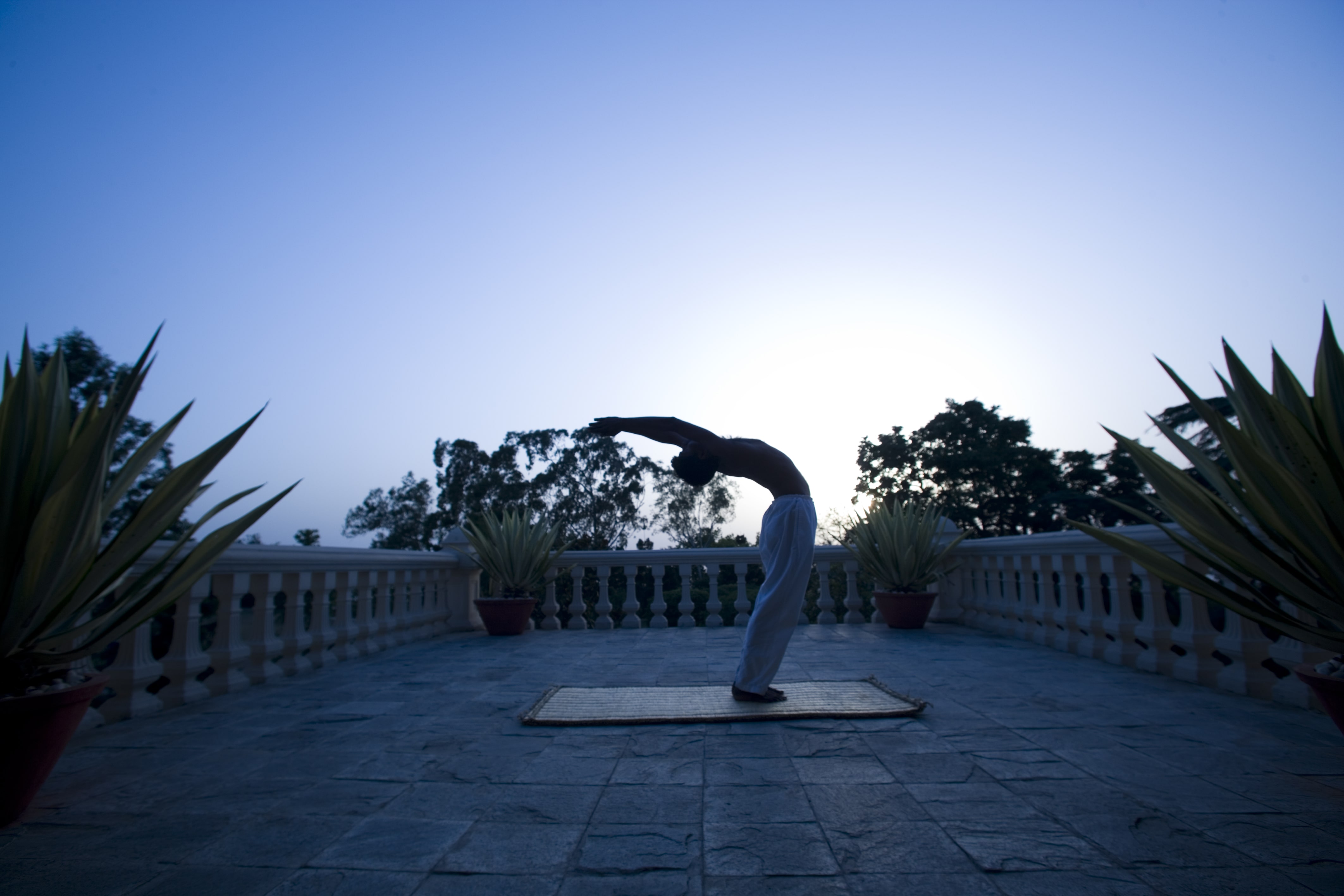 Yoga rondreis Zuid-India