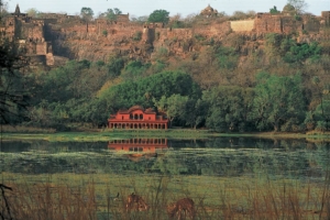 Rajasthan en Kolkata