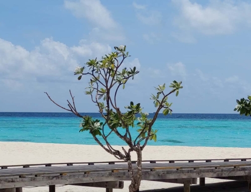 Luxe vakantie op de Malediven